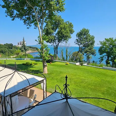 Dodo (adults Only) 4*