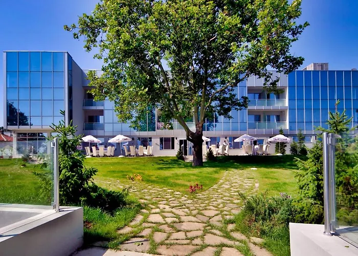 Dodo (adults Only) Kiten (Burgas)