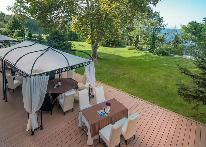 Dodo (adults Only) 4*